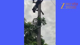 हाई टेंशन लाइन पर चढ़ा युवक, पोल क़े ऊपर ही चिपका; दिल दहला देने वाला वीडियो वायरल 