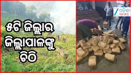 ସରକାରୀ ଜମିରେ ଗଞ୍ଜେଇ ଚାଷ ରୋକିବାକୁ ରାଜସ୍ୱ ସଚିବଙ୍କ ଚିଠି