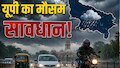 UP Rain Alert: स्वतंत्रता दिवस पर 20 जिलों में भारी बारिश का अलर्ट; झांसी, ललितपुर समेत इन इलाकों में बिगड़ेगा मौसम