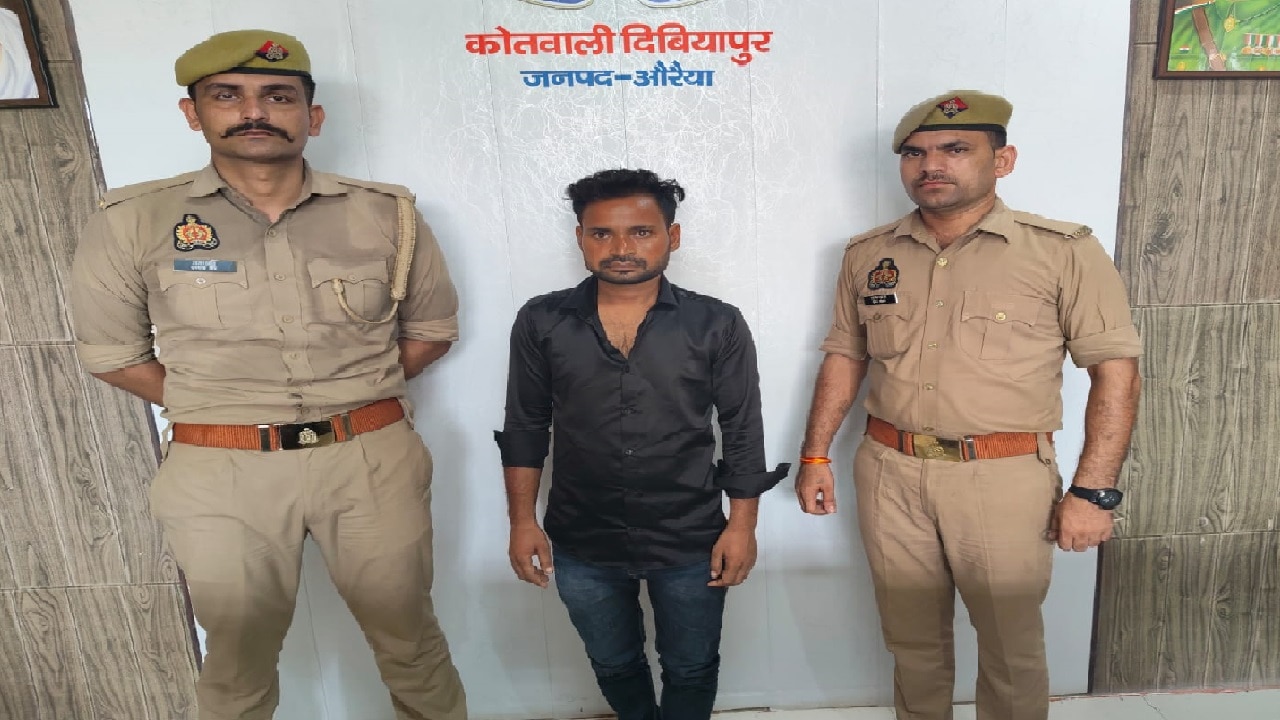 करतूत ऐसी कि अब चक्की पीसेंगे जनाब! बिल्ली को पीट-पीटकर इंस्टा पर डाली रील, दिल्ली से पहुंची शिकायत तो अब मिली 'जेल की हवा'