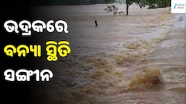 ଭଦ୍ରକରେ ବନ୍ୟା ସ୍ଥିତି ସଙ୍ଗୀନ: ବିପଦ ସଂକେତ ଟପିଲା ସାଳନ୍ଦୀ, ସ୍କୁଲ-ଅଙ୍ଗନବାଡ଼ି ବନ୍ଦ