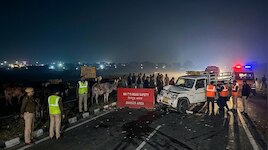 Explainer: सड़क पर आवारा मेवशी और जानलेवा हादसे... भिंड हादसे के बाद सवाल