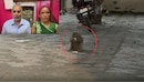 पर्स में रखा 42 हजार रुपये उड़ा ले गया बंदर, कोई तरकीब नहीं आ रही थी काम, अयोध्या पुलिस ने अपनाया ये तरीका