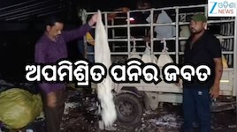 Paneer Seized: କଟକରୁ ଅପମିଶ୍ରିତ ପନିର ଜବତ
