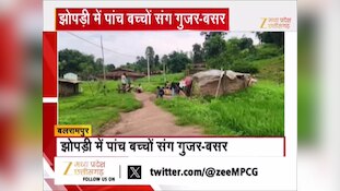 न पहचान, न मकान! 4 साल से झोपड़ी में रहने को मजबूर गरीब परिवार, जिला पंचायत CEO ने लिया संज्ञान