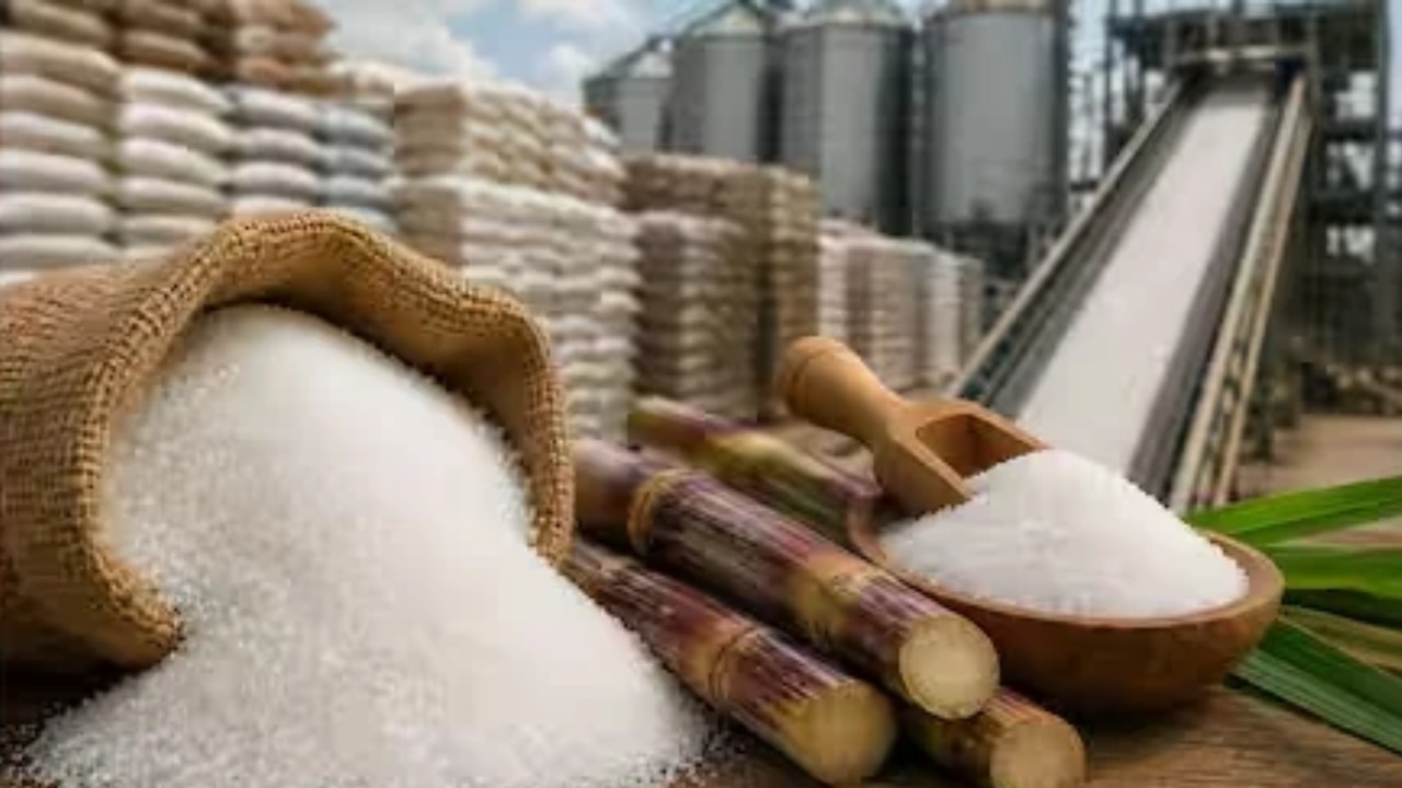 Sugar Hoarding Crackdown: चीनी की कीमतें बढ़ते ही सरकार सख्त, स्टॉक की जांच के लिए 10 टीमें तैनात; राज्यों से कार्रवाई तेज करने को कहा