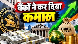 RBI की स्कीम से बैंकों ने जुटाए 7 लाख करोड़, रिकॉर्ड लेवल पर पहुंचेगा फॉरेक्स रिजर्व