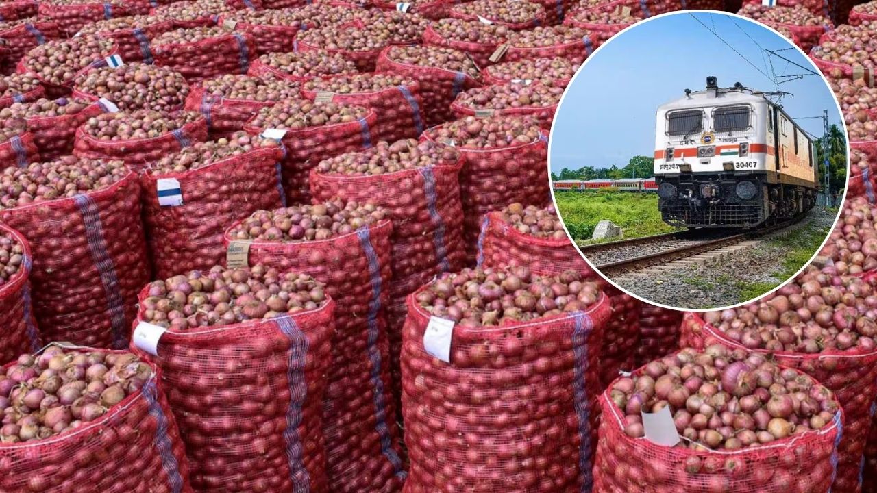 आज महाराष्ट्र से दिल्ली पहुंचेगी 'कांदा एक्सप्रेस', अब केवल 35 रुपये KG मिलेगा प्याज; बढ़ती कीमतों के बीच मिलेगी राहत