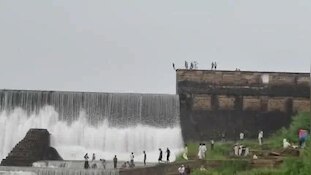 जानलेवा स्टंट! 25 फीट ऊंचे डैम से कूदकर नहाते युवकों का VIDEO वायरल