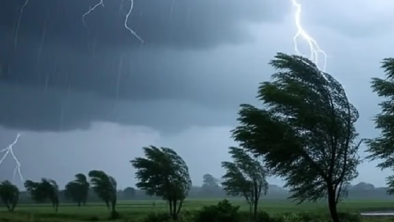 IMD की नई भविष्यवाणी