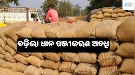 ରାଜ୍ୟରେ ଆଉ ୭ ଦିନ ବଢ଼ିଲା ଧାନ ପଞ୍ଜୀକରଣ ଅବଧି, ଚାଷୀଙ୍କୁ ମିଳିଲା ବଡ଼ ଆଶ୍ୱସ୍ତି