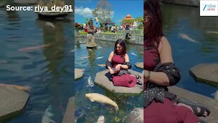 Viral Video: ଭାଇରାଲ ହେଲା ଅଭିନେତ୍ରୀ ରିୟା ଦେ' ଙ୍କ ଏହି ଭିଡିଓ...