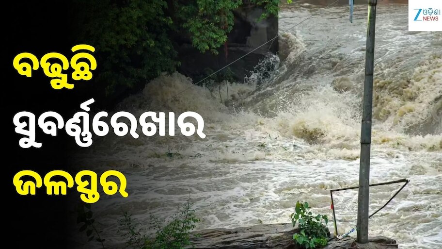 Flood Alert: ସୁବର୍ଣ୍ଣରେଖାରେ ବଡ଼ ବନ୍ୟା ଆଶଙ୍କା! ବିପଦ ସଂକେତ ଉପରେ ଜଳସ୍ତର, ଏହି ୪ ବ୍ଲକ୍‌କୁ ଆଲର୍ଟ..