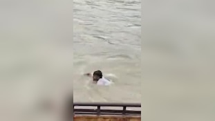हरिद्वार में देवदूत बने गोताखोर, गंगा में डूब रहे बुजुर्ग को मौत के मुंह से खींच लाए युवक; देखें वायरल वीडियो