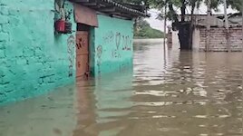 गंगा का कहर से दीपनगर में 4 फीट तक पानी, चौकी पर सिमटी बाढ़ पीड़ितों की जिंदगी 