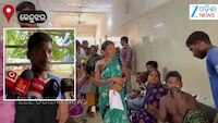 Video: ବିଲକୁ ସାର ପକାଇବା ପାଇଁ ଯାଇଥିଲେ, ଆକ୍ରମଣ କଲା ଭାଲୁ...