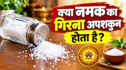 क्या सच में अशुभ होता है नमक का गिरना? जानें वास्तु शास्त्र का रहस्य और इसके पीछे...