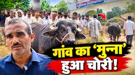 'मुन्ना' की चोरी पर रोया पूरा गांव! जिसे खूंटे से भी नहीं बांधा, उसे दबंगों ने बेचा