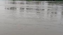 पुनपुन नदी का कहर थोड़ा थमा, लेकिन खतरा बरकरार, बाढ़ के पानी में किशोर डूबा