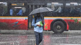 सतना समेत कई जिलों में भारी बारिश का अलर्ट, जानें कैसा रहेगा भोपाल-इंदौर का मौसम?