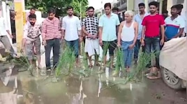 भिंड की पॉश कॉलोनी में सड़कों पर धान की खेती, ग्रामीणों ने सड़कों पर रोपी पौध