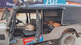 थाने की गश्ती जीप पर 'डॉग साहब' का कब्जा! पुलिस गाड़ी में बैठा कुत्ता हुआ वायरल