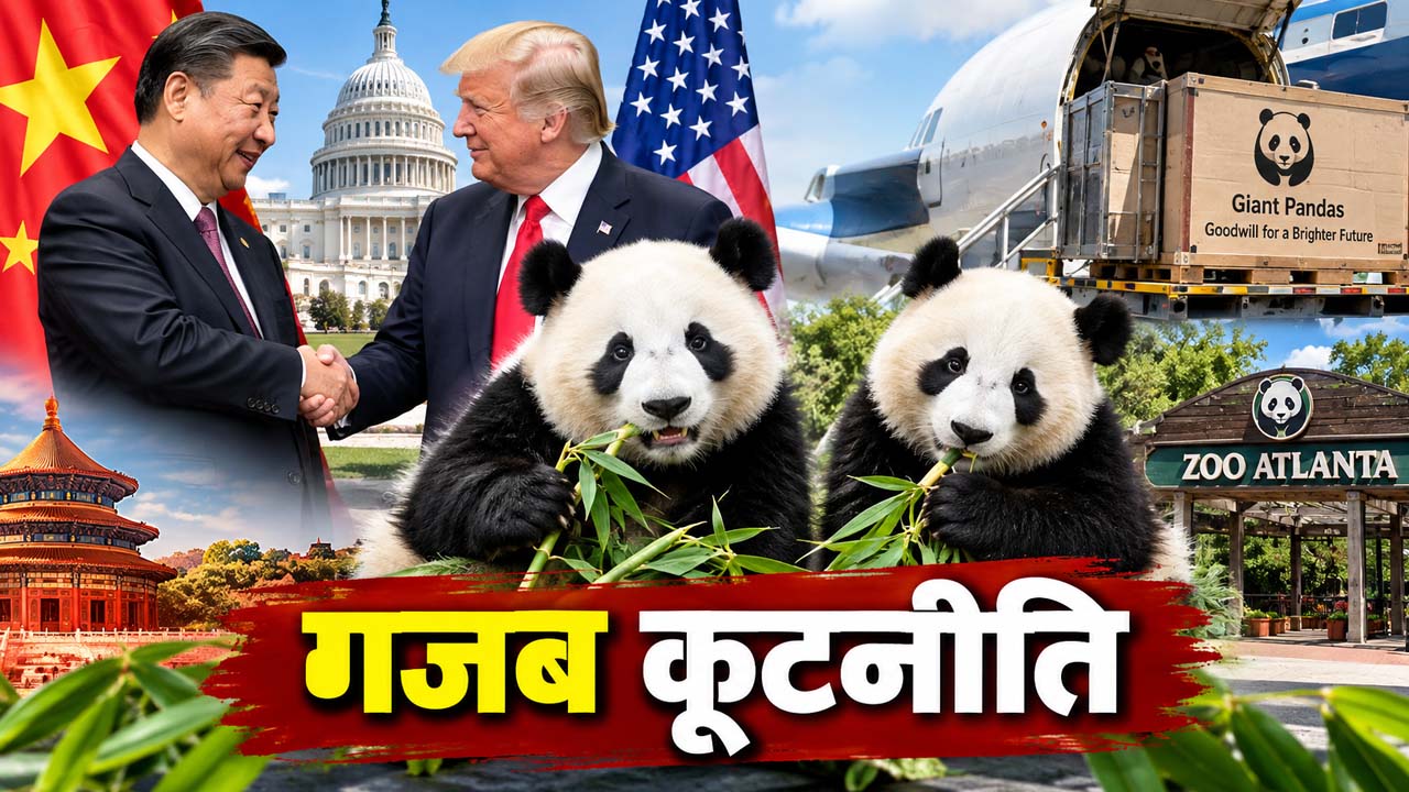 सोवियत संघ तो कभी US, चीन ने ‘Panda Power’ का खूब किया इस्तेमाल; बांस खाने वाला ये जानवर कैसे बना कूटनीतिक हथियार?
