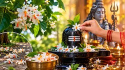 पेड़ से तोड़कर कभी न चढ़ाएं हरसिंगार का फूल, जानें शिव पूजा का सबसे जरूरी नियम