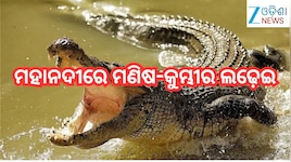 Boudh News: ମହାନଦୀରେ ମଣିଷ-କୁମ୍ଭୀର ଲଢ଼େଇ,ଦେଢ଼ ଘଣ୍ଟାର ସଂଘର୍ଷ ପରେ ମରଣ ମୁହଁରୁ ଯୁବକଙ୍କୁ ବ