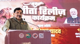 MP वाइल्डलाइफ के लिए ऐतिहासिक दिन: CM मोहन ने नौरादेही टाइगर रिजर्व में छोड़े 2 चीते