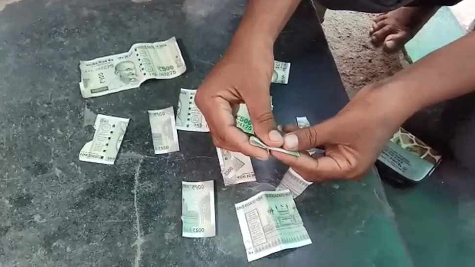 rupee 500 notes cutes, sangli, sbi, rbi, CHEMICAL REACTION to bank notes