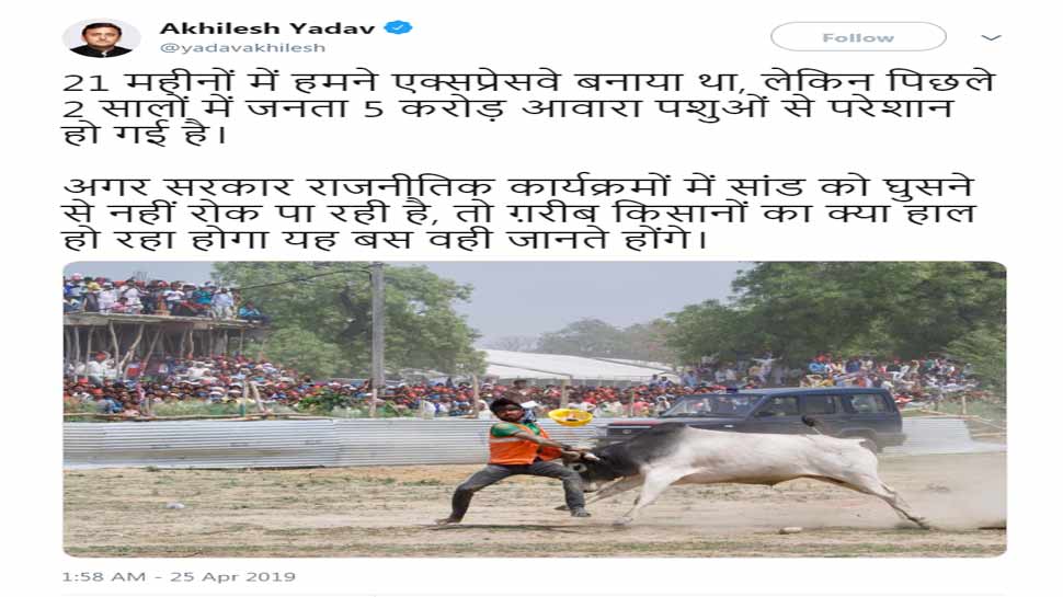 akhilesh yadav tweet and target BJP Government after stray bull created ruckus in Kannauj Rally