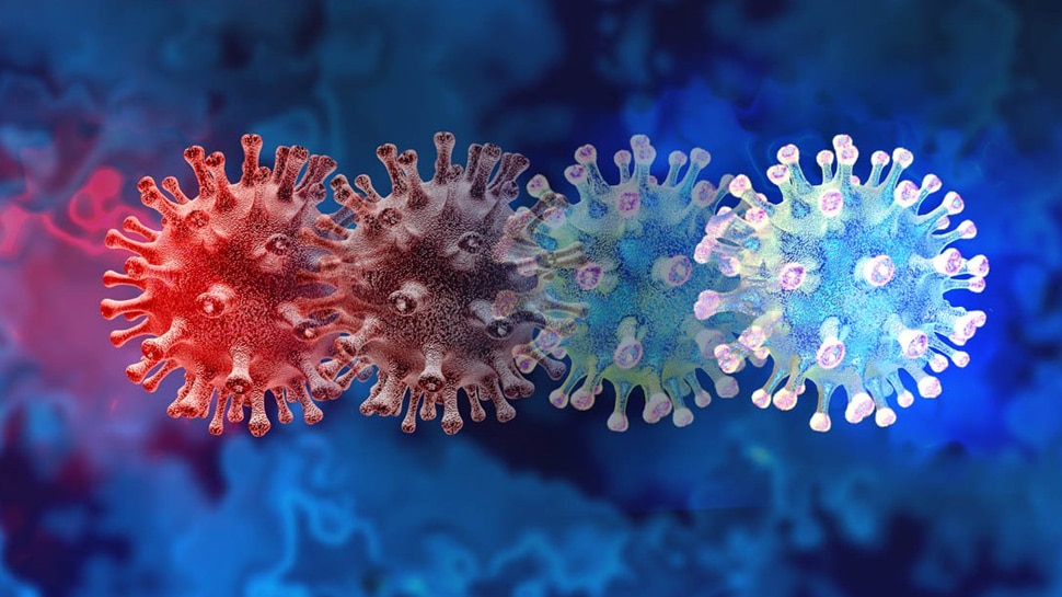 4 viruses found in human genome investigation