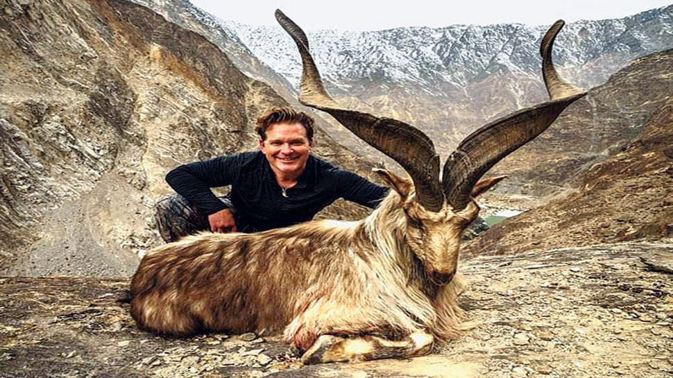 आखिर पाकिस्‍तान क्‍यों दे रहा है अपने राष्‍ट्रीय पशु के शिकार की विदेशियों  को इजाजत? | Markhor : why Pakistan giving chance to foreigners to hunt for  their national animal?