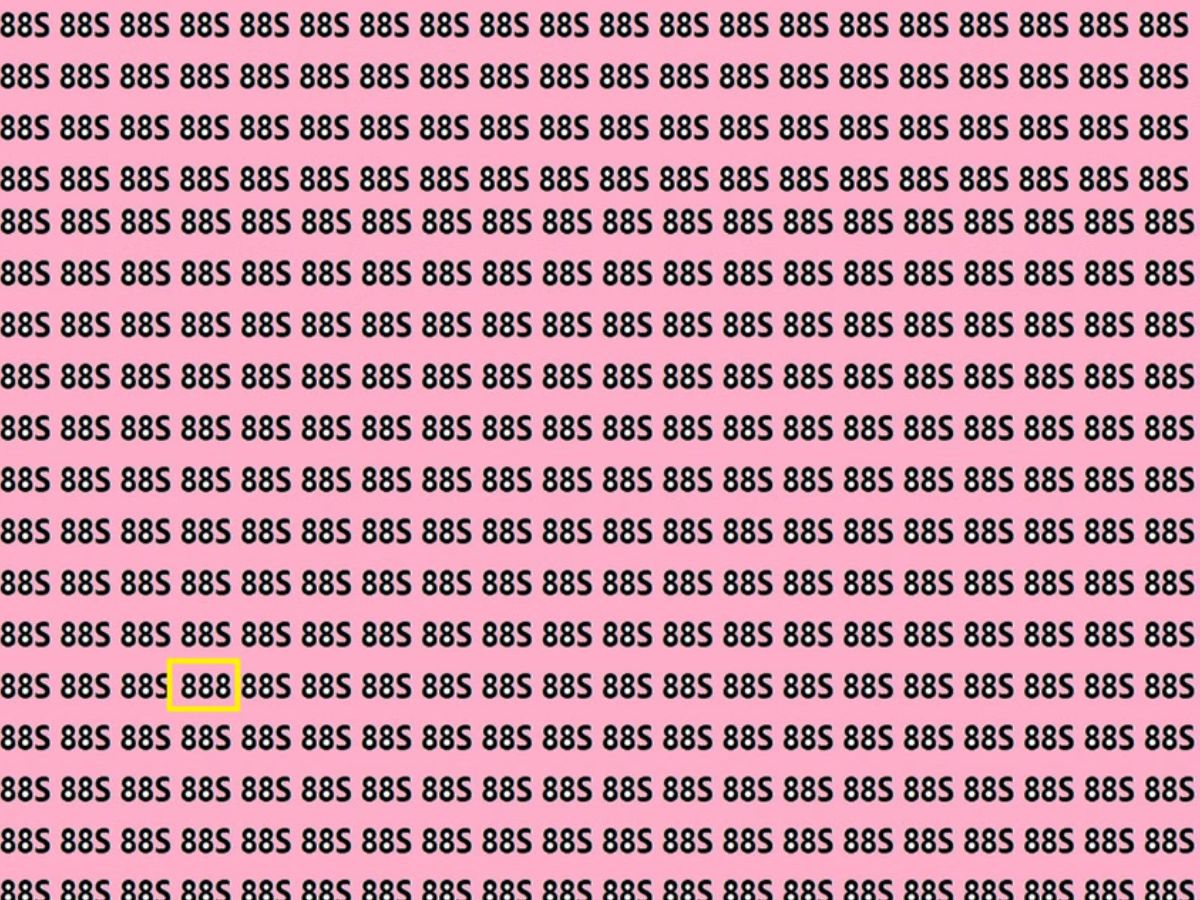 Optical Illusion Can you find the hidden 888 in this picture in 15 ...