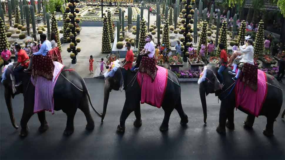 Valentine mass wedding Thailand