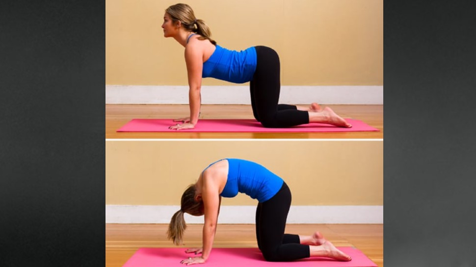 Seated Yoga Positions: 11 Sitting Asanas Which are Easy For Beginners