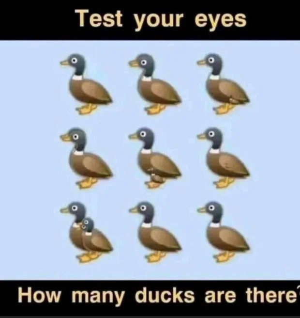 duck puzzel