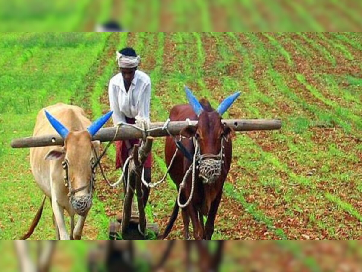 Jaipur: किसान ऋण राहत एक्ट बनाने के लिए सहकारिता विभाग ने किया कमेटी का गठन
