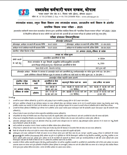 Esb Form.pdf mp government primary teacher requirement online form starts today on ...