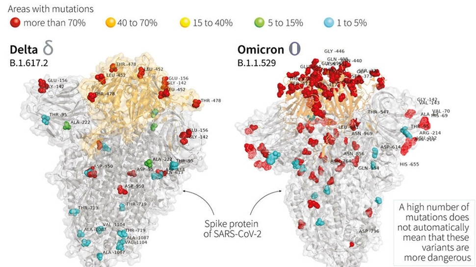 omicron first image