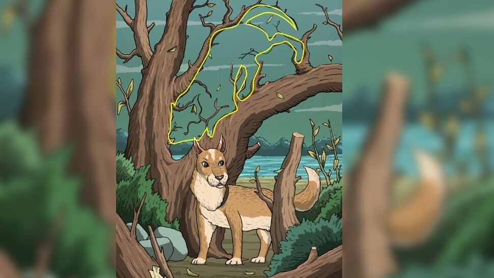 optical Illusion
