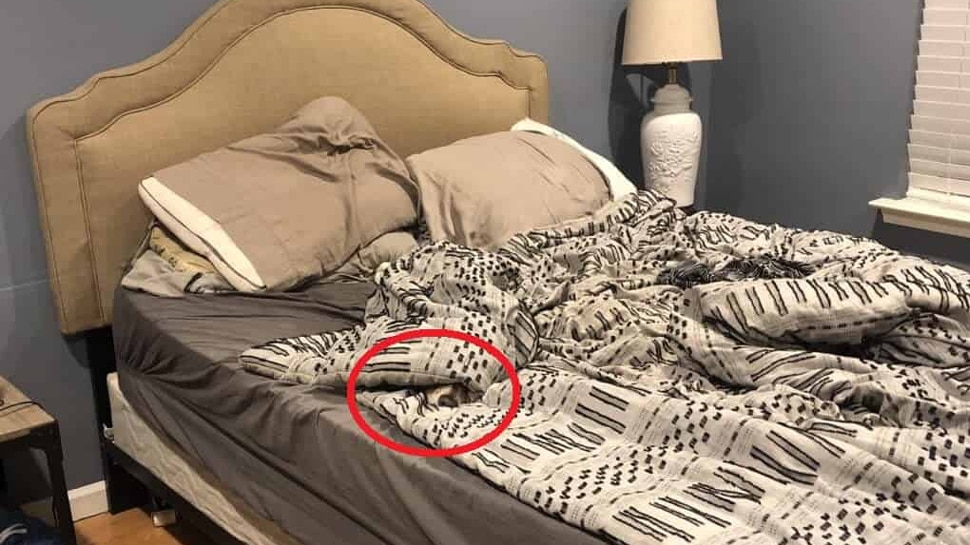 optical Illusion