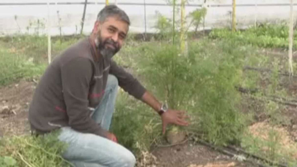 This man left his bank job, now earning profit from organic Farming