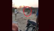 जूनागढ़ में जंगल के राजा को इस तरह किया जा रहा है परेशान, देखें VIDEO जूनागढ़ में जंगल के राजा को इस तरह किया जा रहा है परेशान, देखें VIDEO