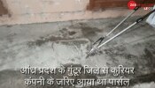 VIDEO: पार्सल में निकला 4 फुट लंबा कोबरा, देखते ही निकल पड़ी शख्स की चीख और... VIDEO: पार्सल में निकला 4 फुट लंबा कोबरा, देखते ही निकल पड़ी शख्स की चीख और...