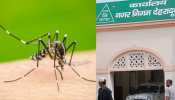 1 करोड़ से ज्यादा का धुआं उड़ा चुका है ये नगर निगम, लेकिन डेंगू का डंक नहीं हो रहा कम 1 करोड़ से ज्यादा का धुआं उड़ा चुका है ये नगर निगम, लेकिन डेंगू का डंक नहीं हो रहा कम