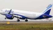 टल गया बड़ा हादसा, टेक-ऑफ के दौरान IndiGo के विमान से टकराया पक्षी, सभी यात्री सुरक्षित टल गया बड़ा हादसा, टेक-ऑफ के दौरान IndiGo के विमान से टकराया पक्षी, सभी यात्री सुरक्षित