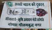नोएडा में सस्ता प्याज! सिर्फ पोस्टरों में, हकीकत इससे बिल्कुल अलग है जनाब नोएडा में सस्ता प्याज! सिर्फ पोस्टरों में, हकीकत इससे बिल्कुल अलग है जनाब