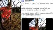 ट्रेन से लटककर युवक को स्टंट करना पड़ा महंगा, VIDEO देखकर कांप जाएंगे आप ट्रेन से लटककर युवक को स्टंट करना पड़ा महंगा, VIDEO देखकर कांप जाएंगे आप